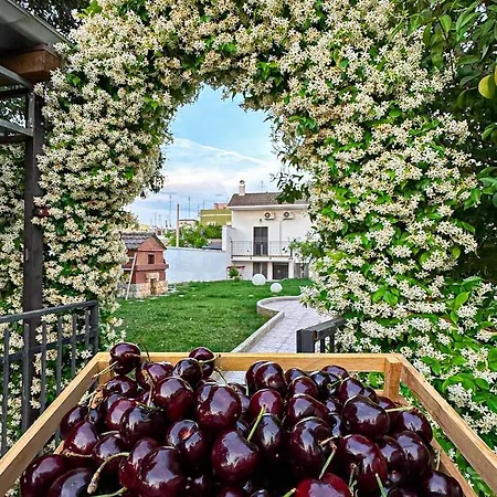 Lejlighed Ardigo - O