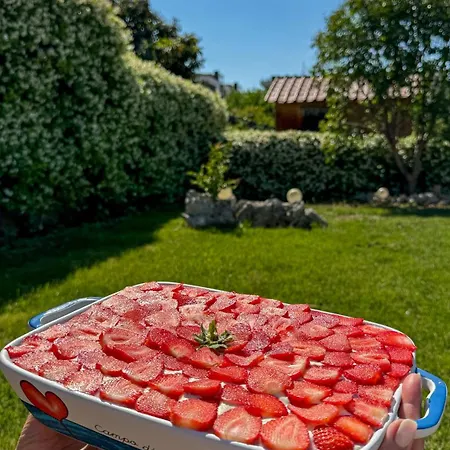 Lejlighed Ardigo - O