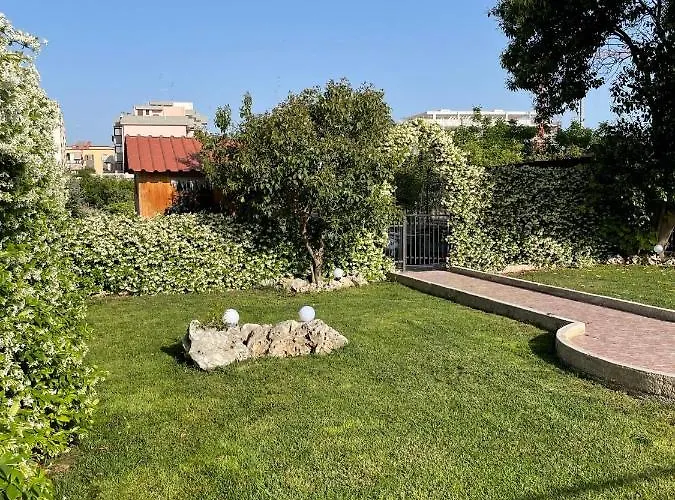 Ardigo - O Daire Bari